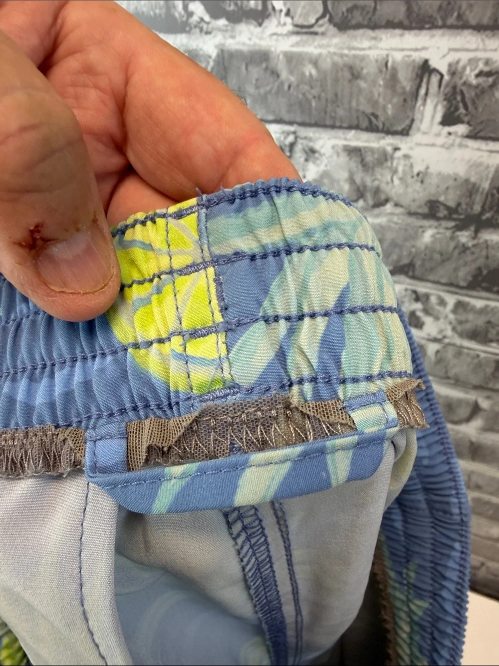 Chubbies  Blue Pineapple & Lime Print Men’s Swim Shorts